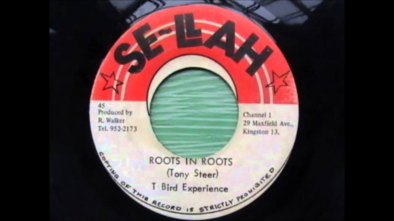 Tony Steer - Roots In Roots