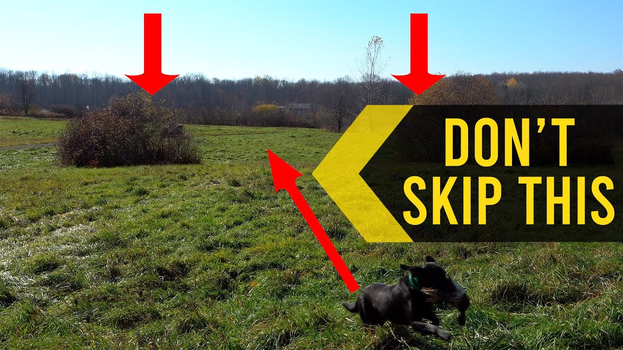 Retriever Training - Land Set Up