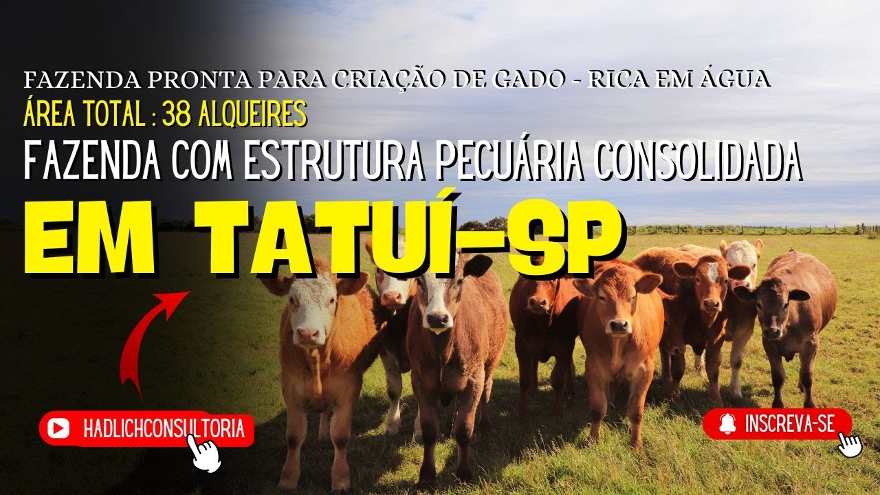 🌿Fazenda DUPLA APTIDÃO em Tatuí – SP | 38 alqueires | Bairro Guaporó | Produção e Alto Potencial🚜