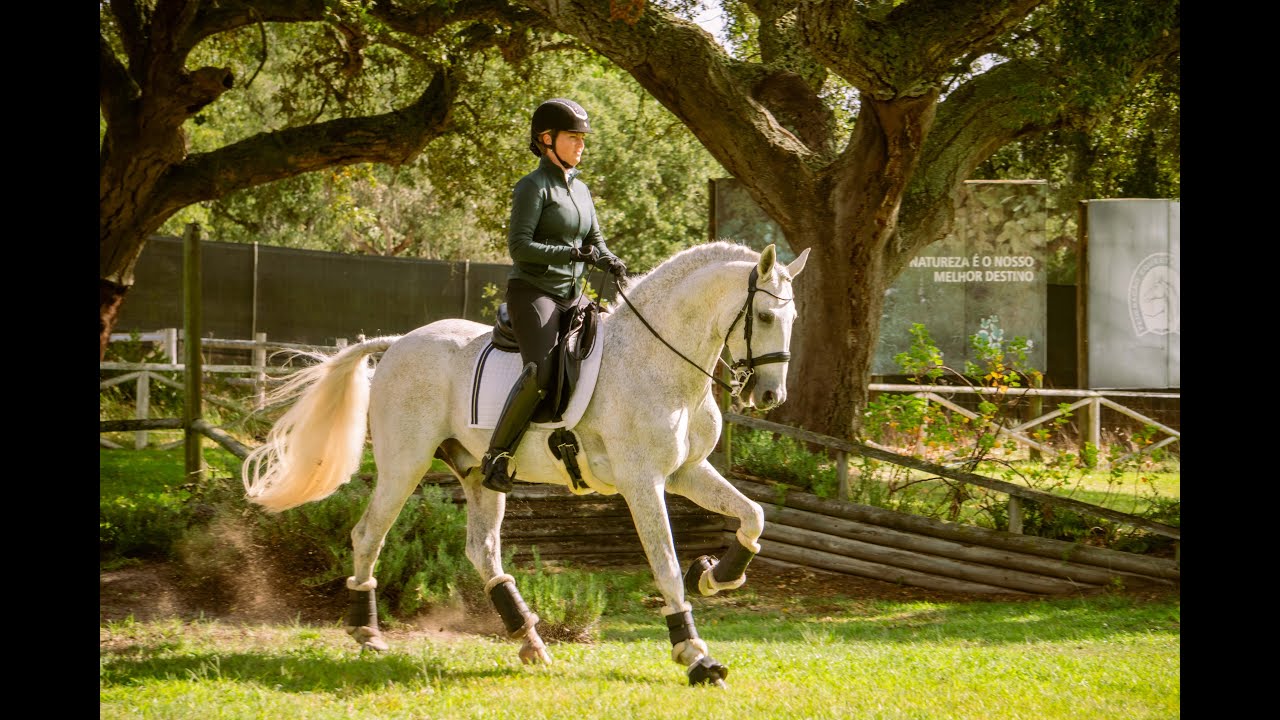 Malin Bowallius & Figura @Companhia das Lezírias Working Equitation