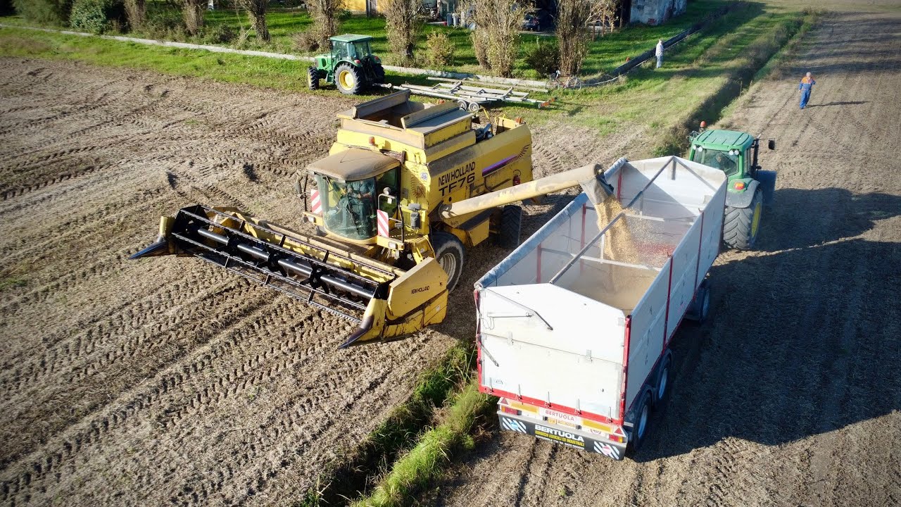 Trebbiatura Soia 2024 - New Holland TF76