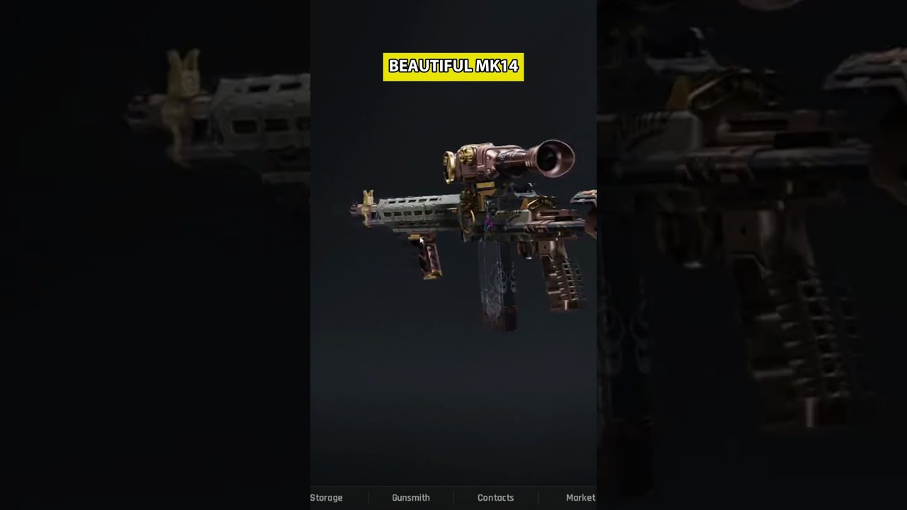 THE BEAUTIFUL AND DEFINITELY NOT EXPENSIVE MK14 BUILD  | Arena Breakout Infinite