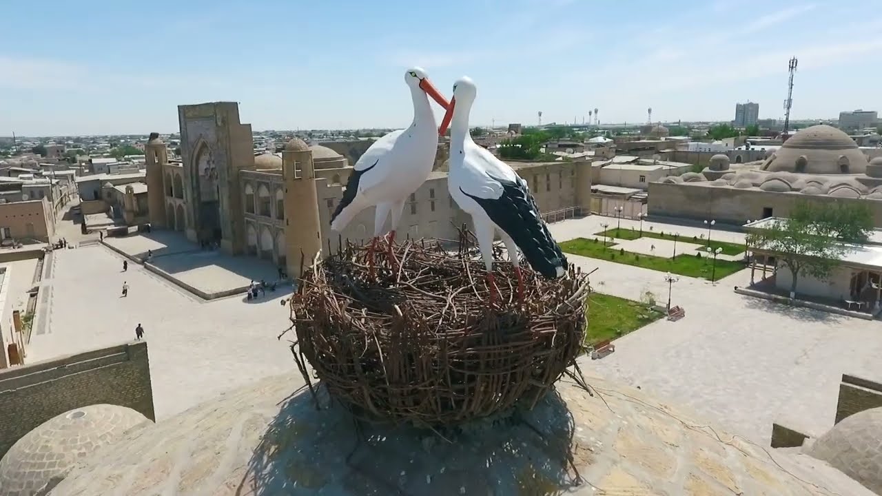 Travel to Uzbekistan and discover Bukhara with MIR ⦿ Credits:Uzbektourism
