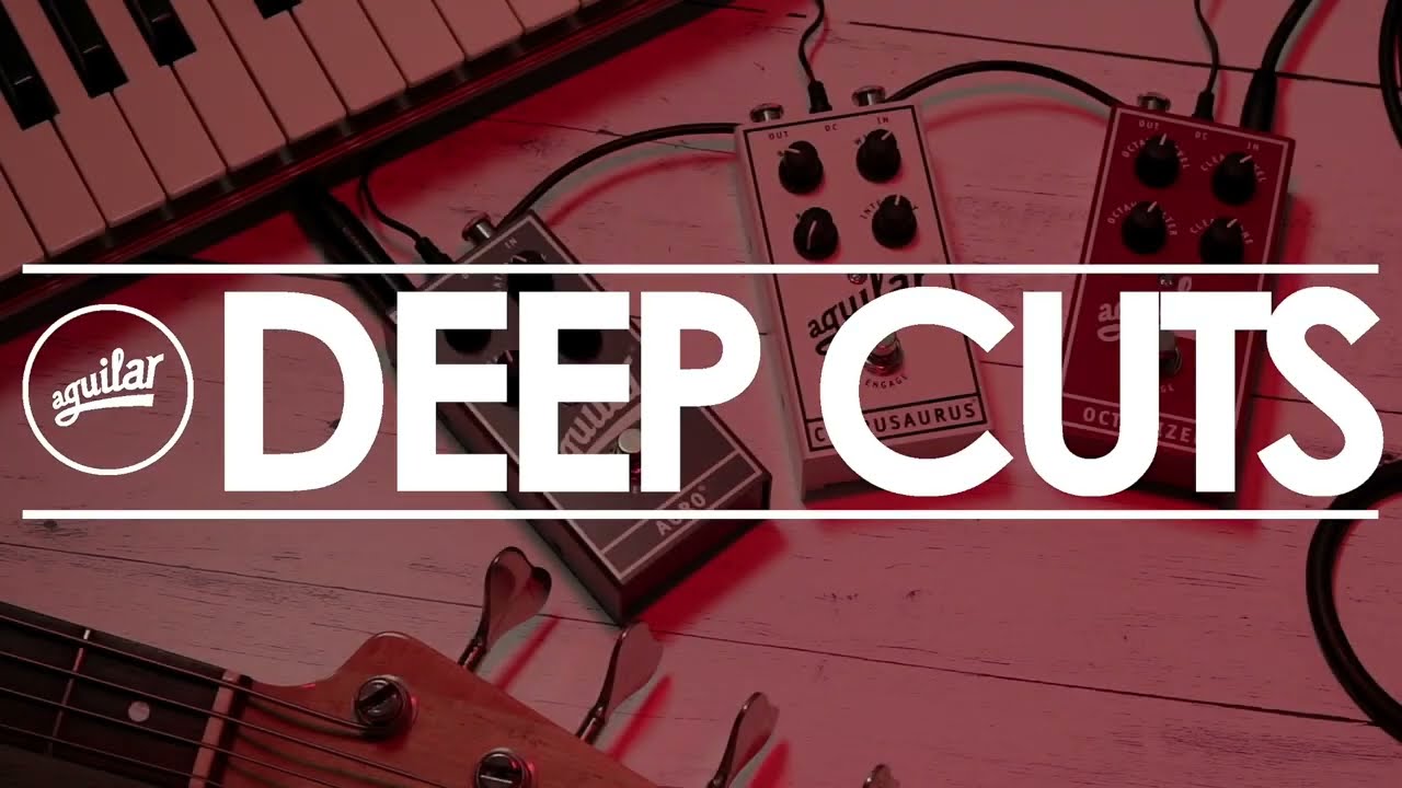 Deep Cuts - Synth Bass with the Agro, Chorusaurus, and Octamizer pedals
