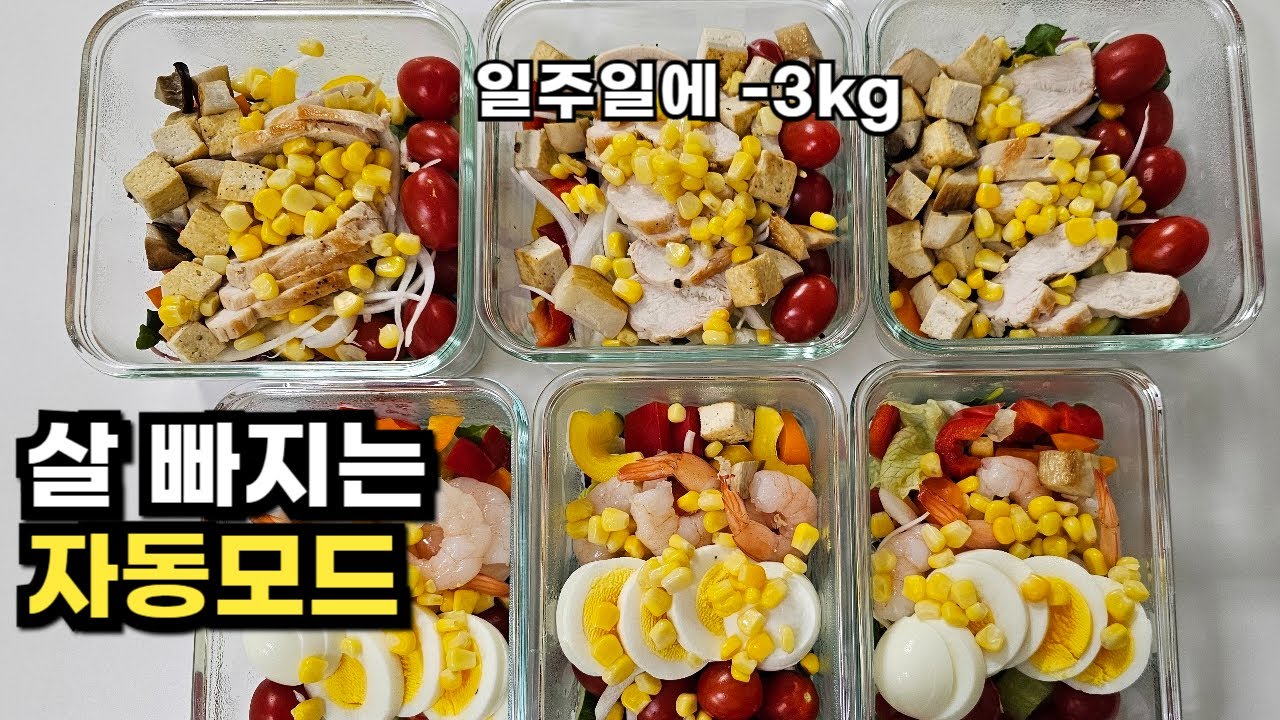 7일동안 샐러드 고민 하지 마세요/ 다이어트 샐러드 도시락 만들기