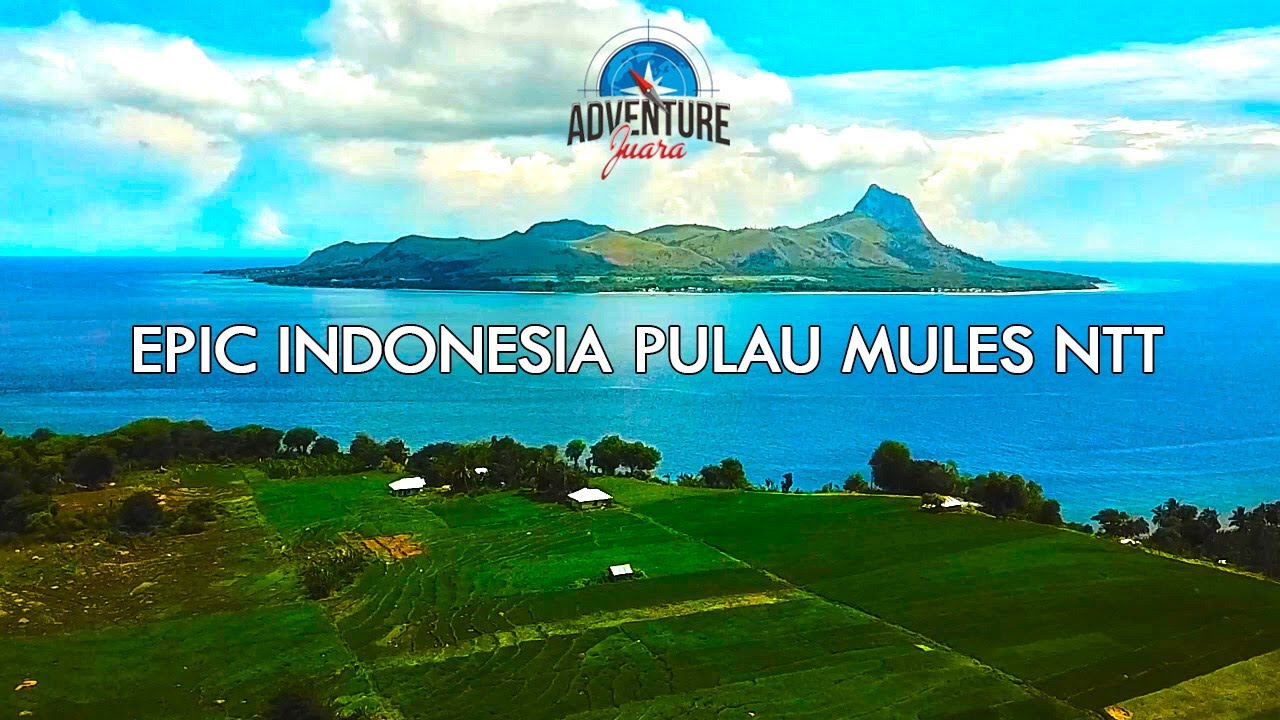 EPIC INDONESIA PULAU MULES NTT PULAU TERINDAH DI INDONESIA | ADVENTURE JUARA