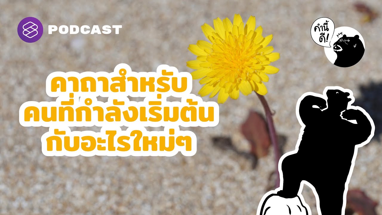 คาถาสำหรับคนที่กำลังเริ่มต้นกับอะไรใหม่ๆ | คำนี้ดี EP.596