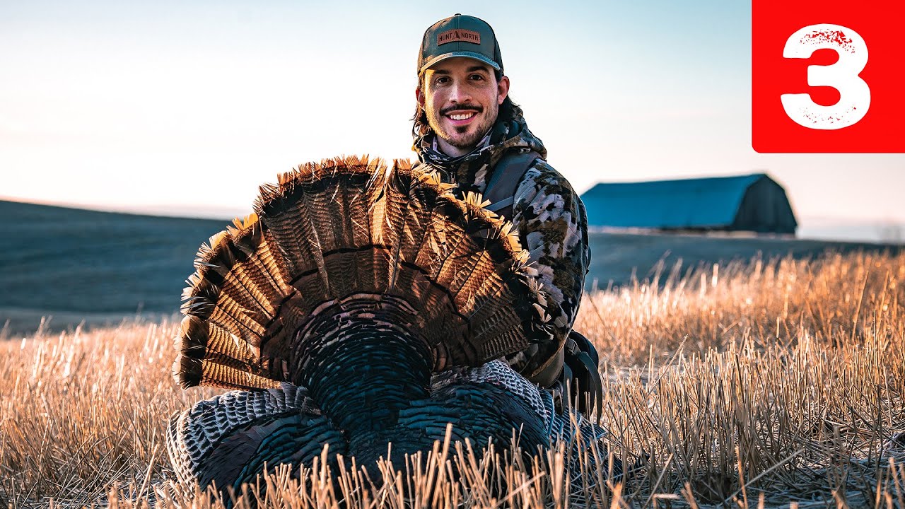 CHASSE au DINDON proche du perchoir! (Tom du Québec)