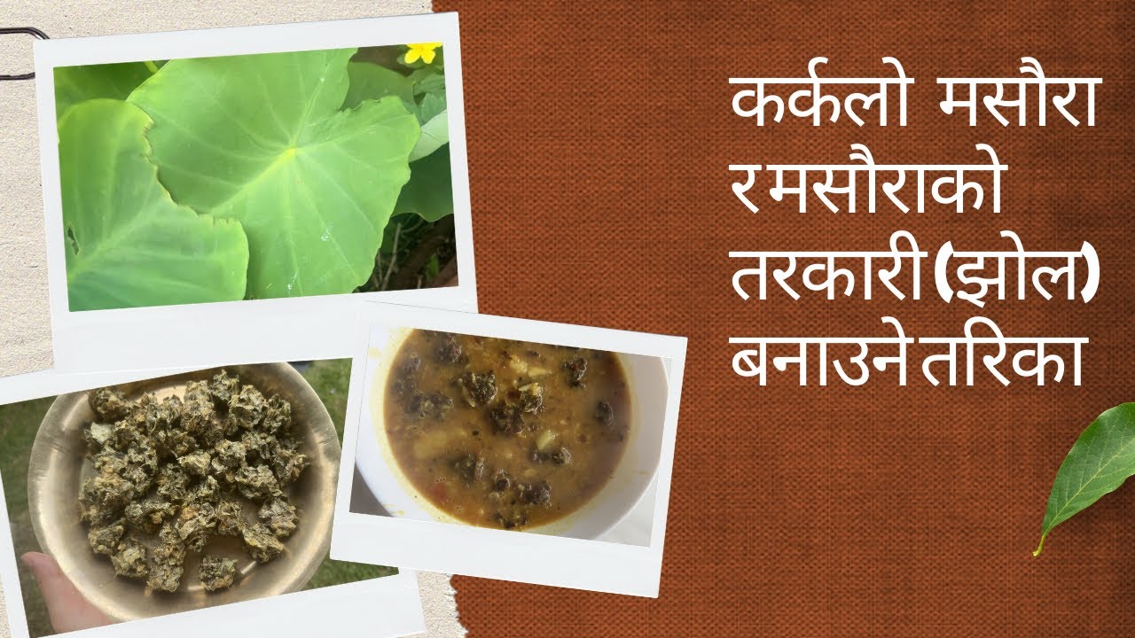 कर्कलो   मसौरा  र मसौराको तरकारी (झोल) बनाउने तरिका 