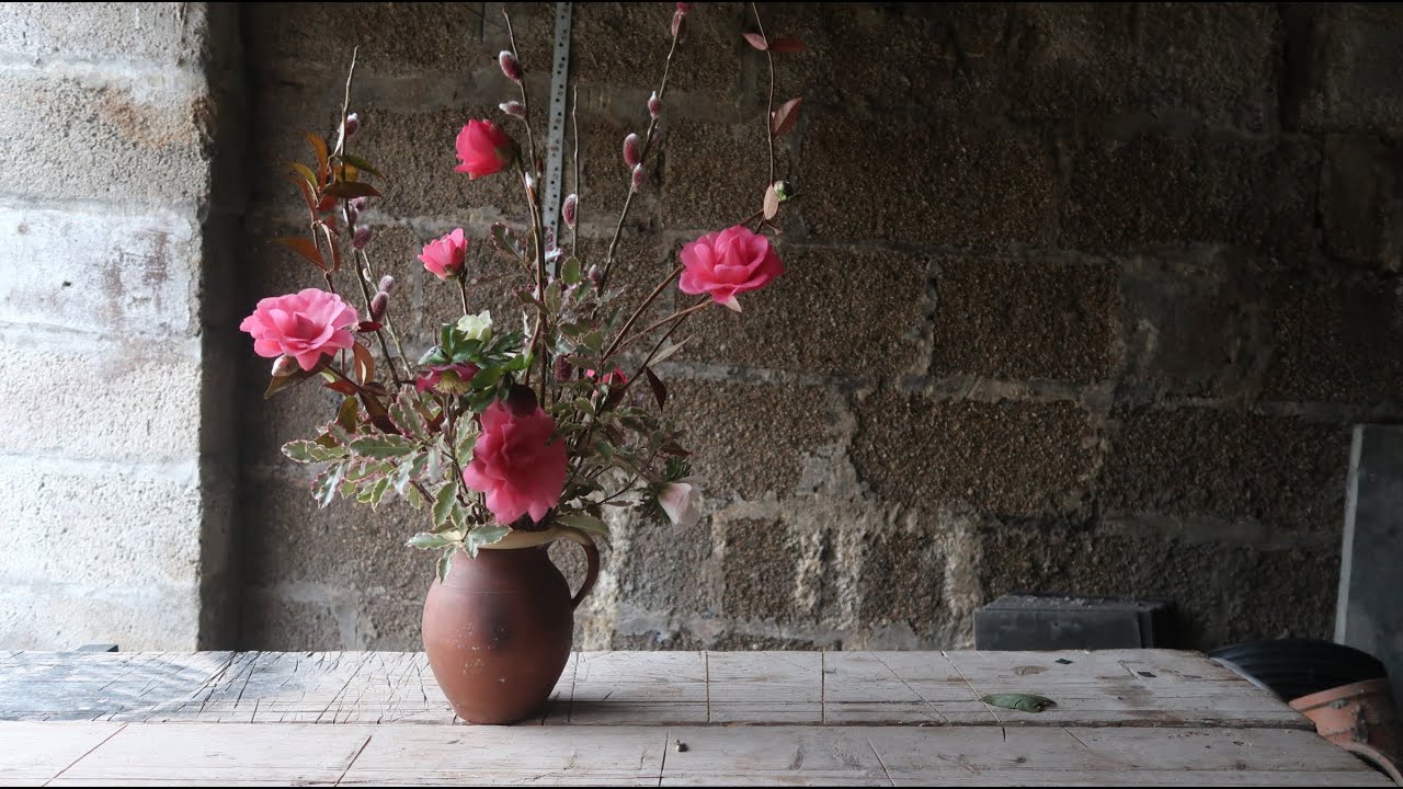 The February Garden - Seed Sowing, Tree Planting and camellia's for the house