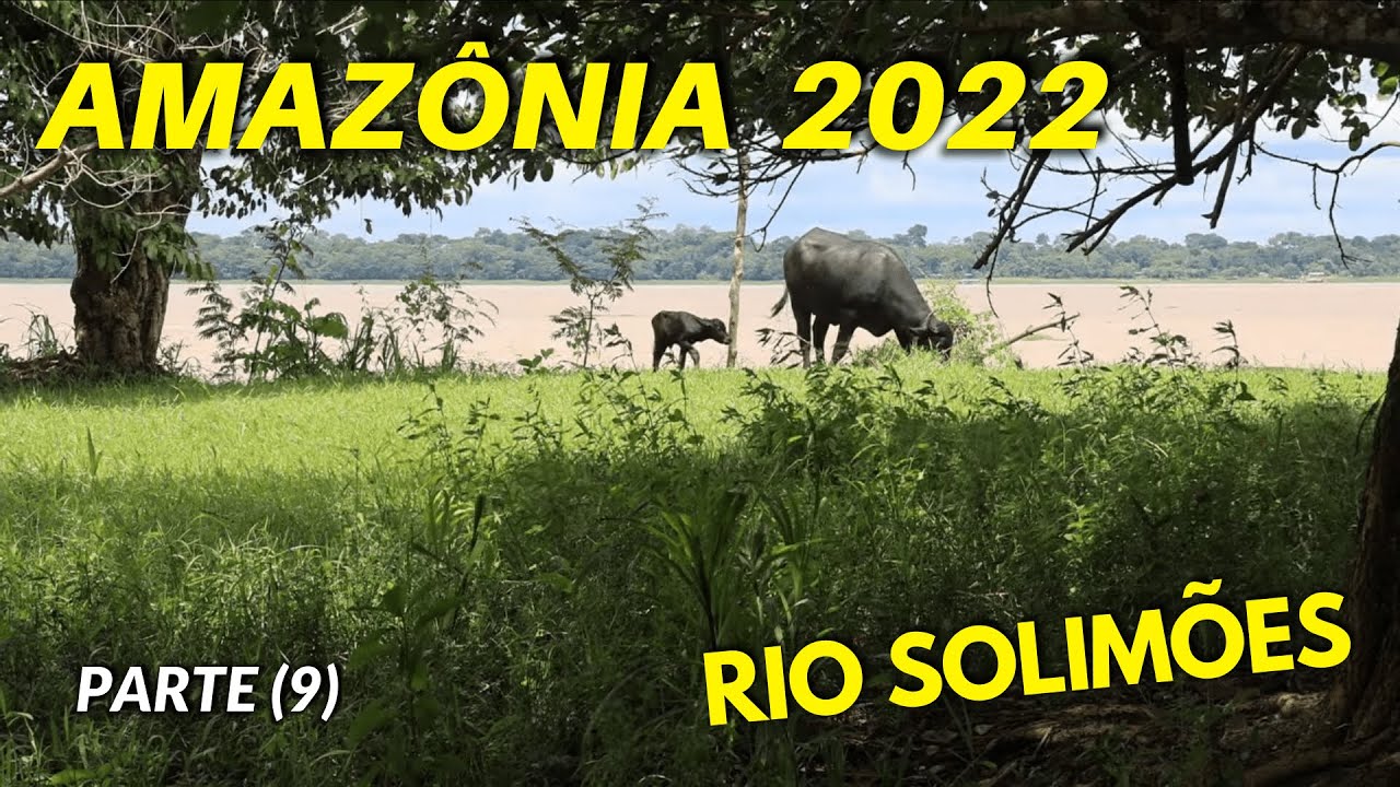 DE VOLTA À COMUNIDADE DA MANGUEIRA - LIDA DE ROÇA | T01 EP23