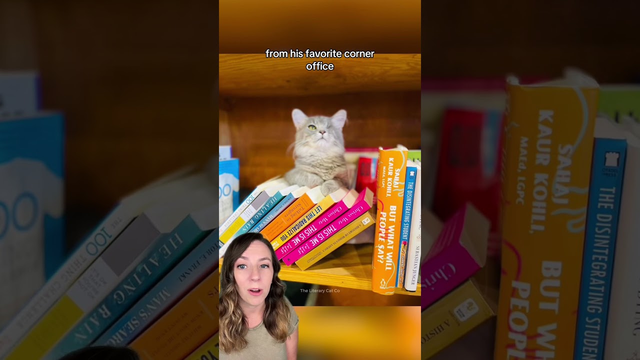 Cat-run bookstore helps more cats find homes