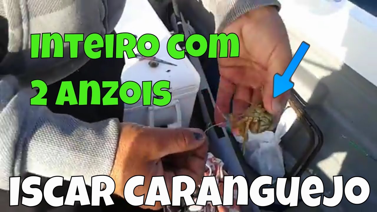 Iscar caranguejo inteiro com 2 anzois