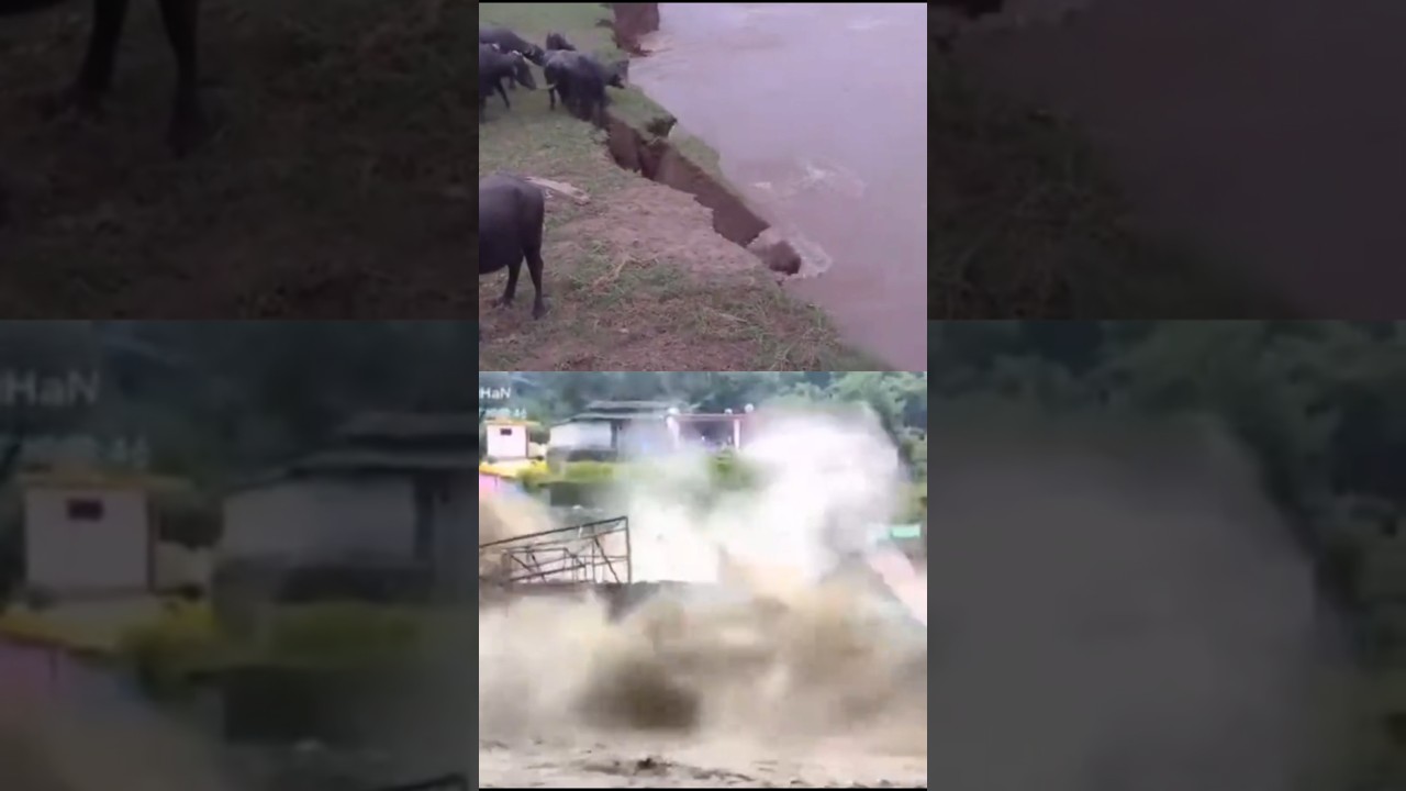 River Flood News Update |Pakistan River Flood News|
