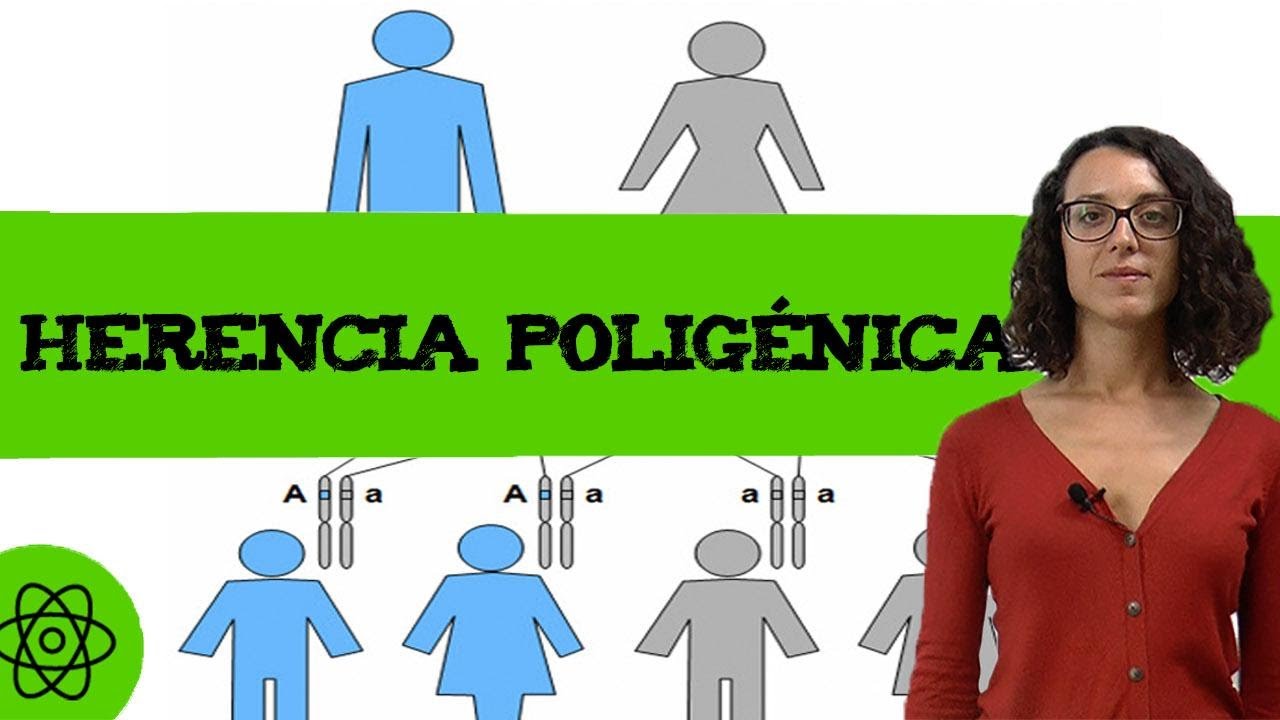 Ejercicio de genética con más de 2 genes (herencia poligénica) 🧬