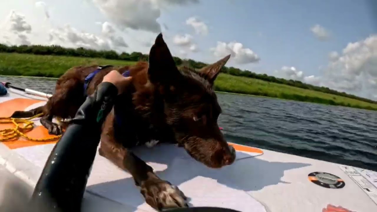 River Swim 4th June 2025