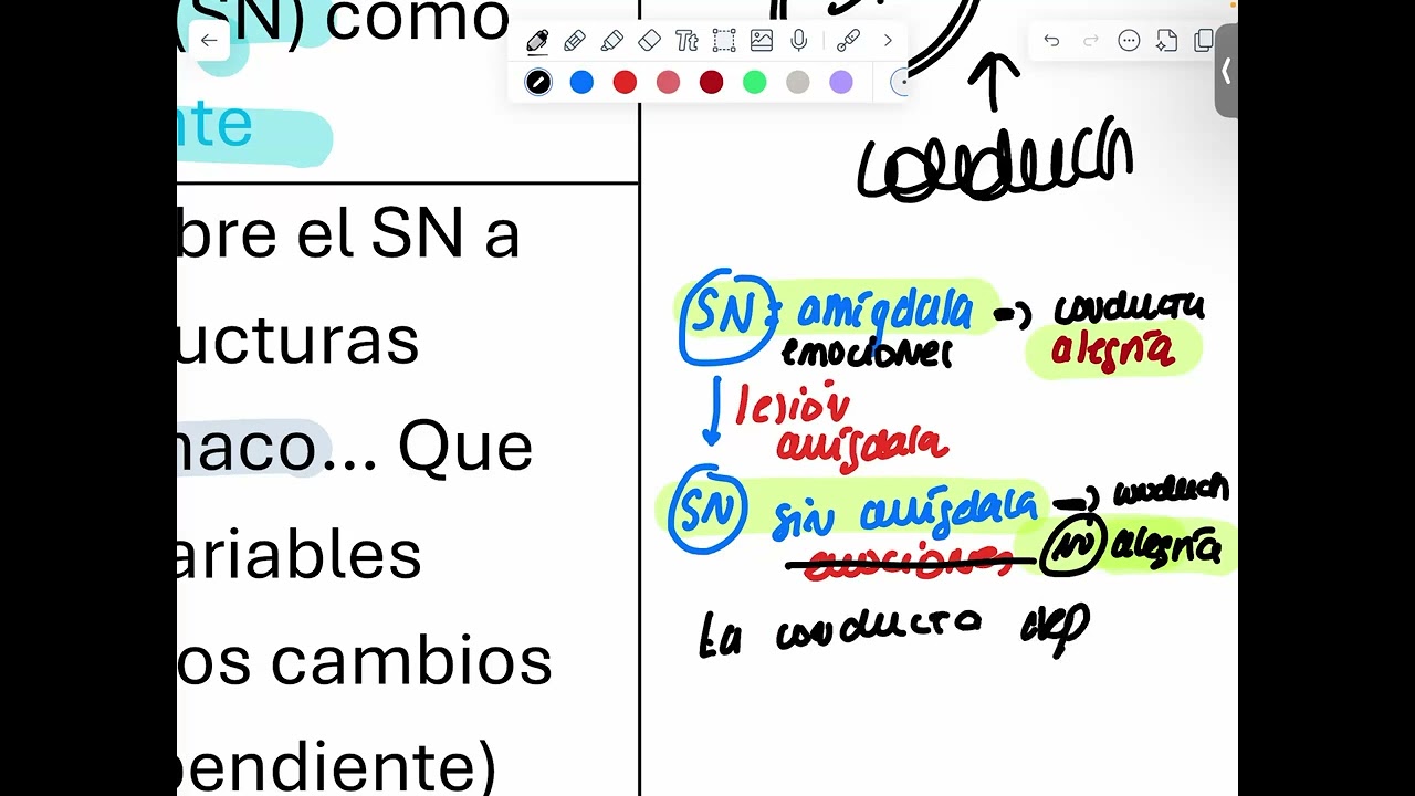 FUNDAMENTOS DE PSICOBIOLOGÍA (UNED - GRADO PSICO). V5 - T1. Estrategias de contrastación científica