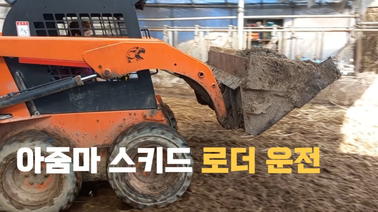 스키드로더 운전하는 엄마! 스키드로더