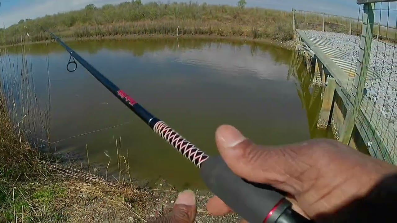 I Found a Flounder Hole