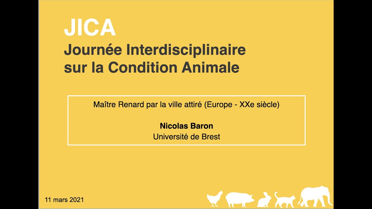 JICA 3 - Nicolas Baron (2021)