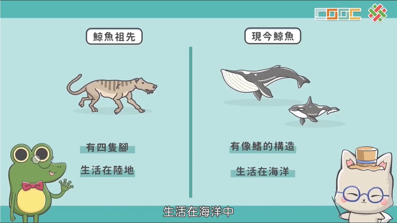 108新課綱｜七下生物｜【觀念】生物的演化－持續改變的生命