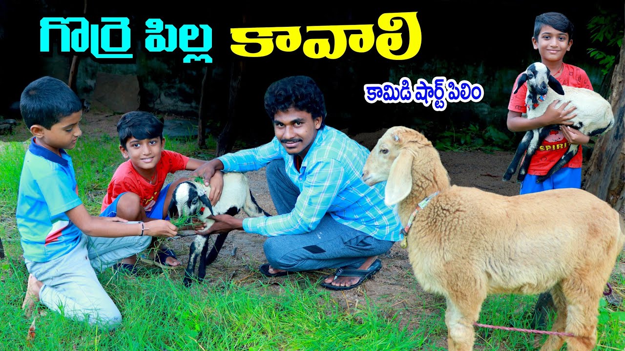 అమ్మ గొర్రె పిల్ల కావాలి || amma gorre pilla kavali || manu videos || telugu letest all