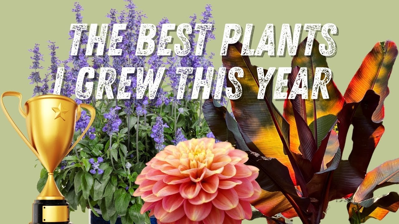 The best plants I grew in 2022 🌿🏆