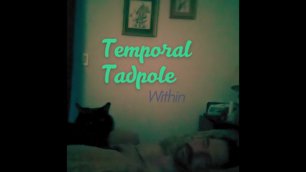 Temporal Tadpole - Within