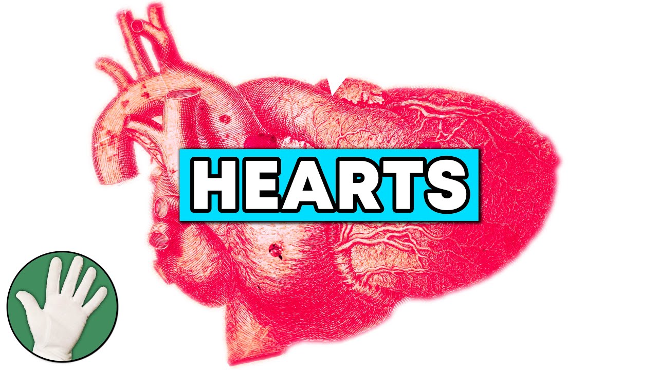 Hearts - Objectivity 107