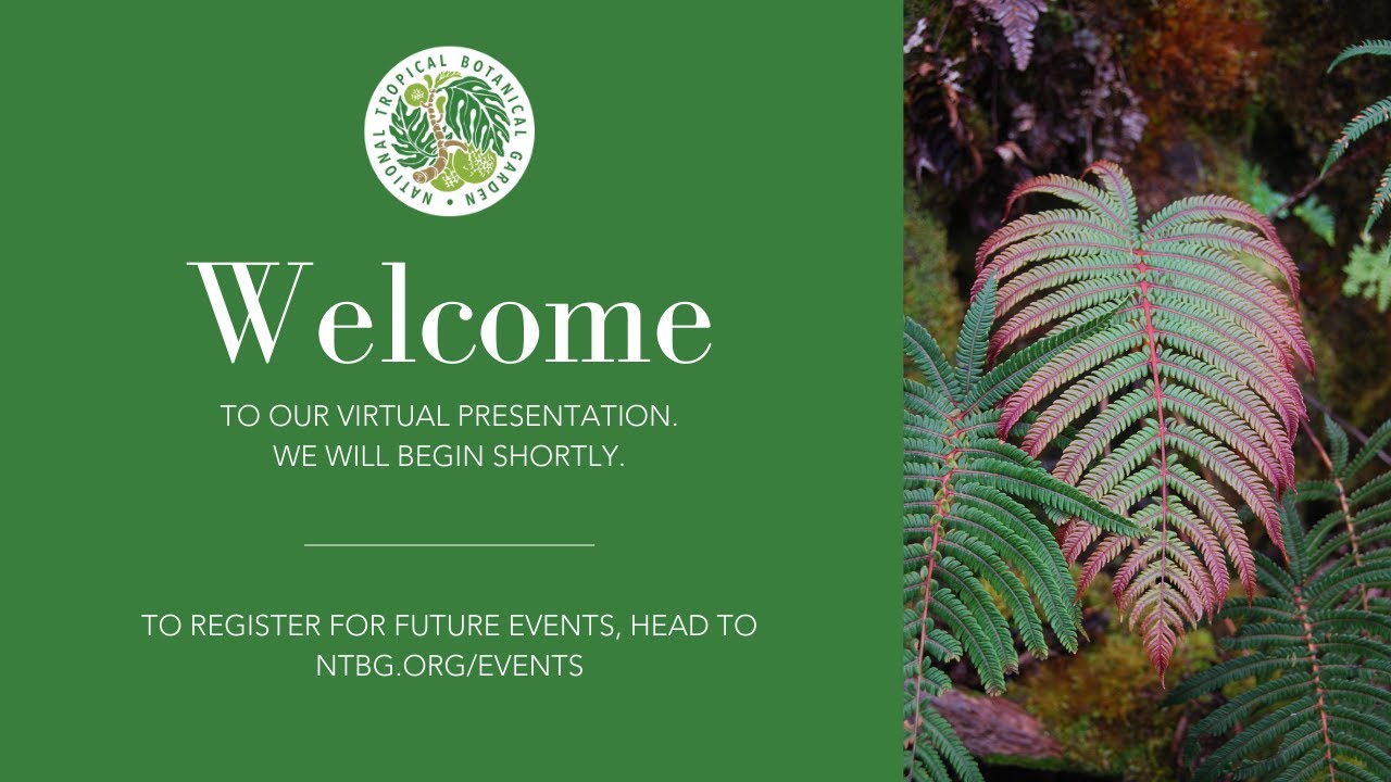 Webinar: Native Hawaiian Fern Propagation and Restoration