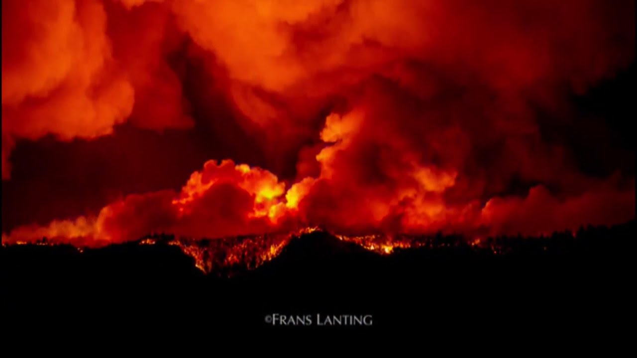 Residents rally for more protection in the Santa Cruz CZU fire