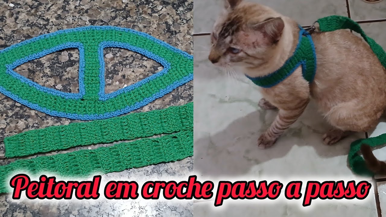 como fazer um lindo peitoral em croche pra cachorros  e gatos