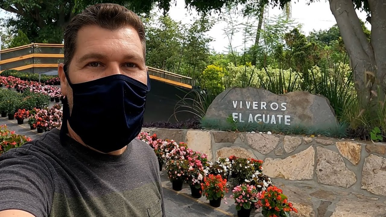 Visitando un Vivero cerca de Guadalajara (Viveros el Aguate) y tomas aereas de la zona  [V-blog165]