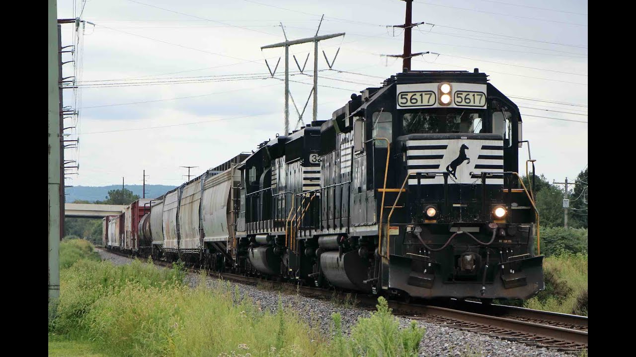 NS 3377 wears a RS5T on C&F 8/29/25