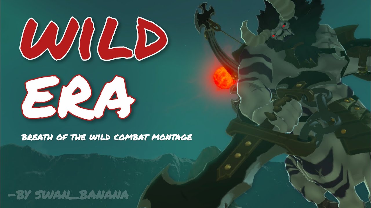 Wild Era - A Cinematic BotW Combat Montage