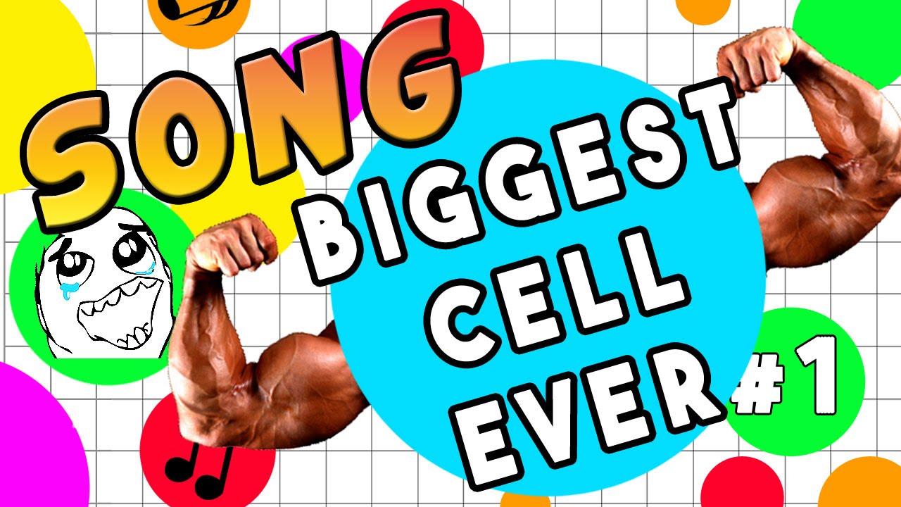 ♫  AGAR.IO SONG 'Biggest Cell Ever' (AGAR.IO MUSIC VIDEO)