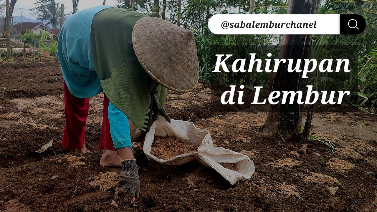 Sabalembur Episode Kahiji - Kahirupan di Pilemburan