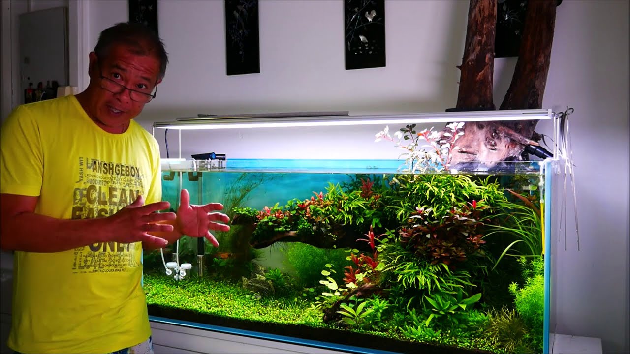 UPDATE  300 L AQUASCAPING + Bonus