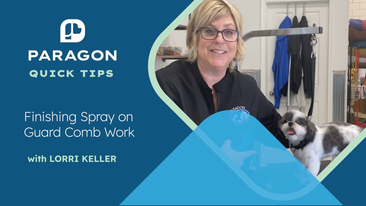 Quick Tips: Finishing Spray on Guard Comb Work with Lorri Keller