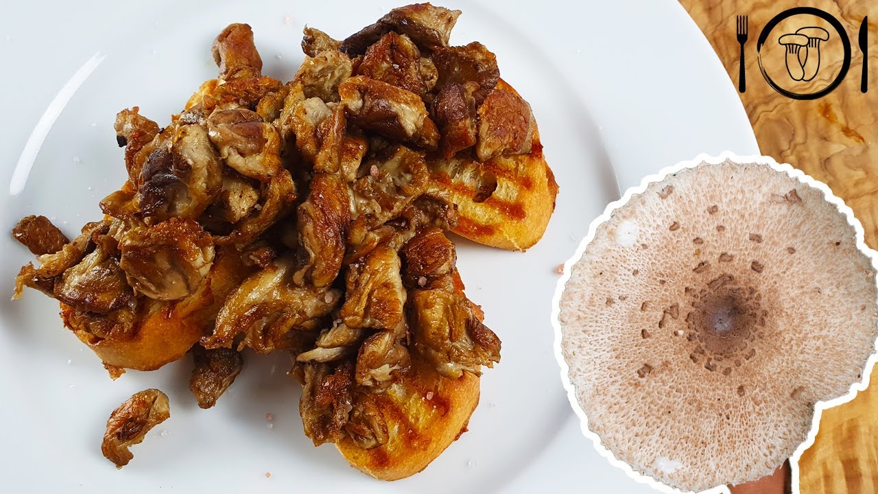 Nejlep&scaron;&iacute; Bedla na topince. Bedla vysok&aacute; recept. &Scaron;kvarky z bedly.