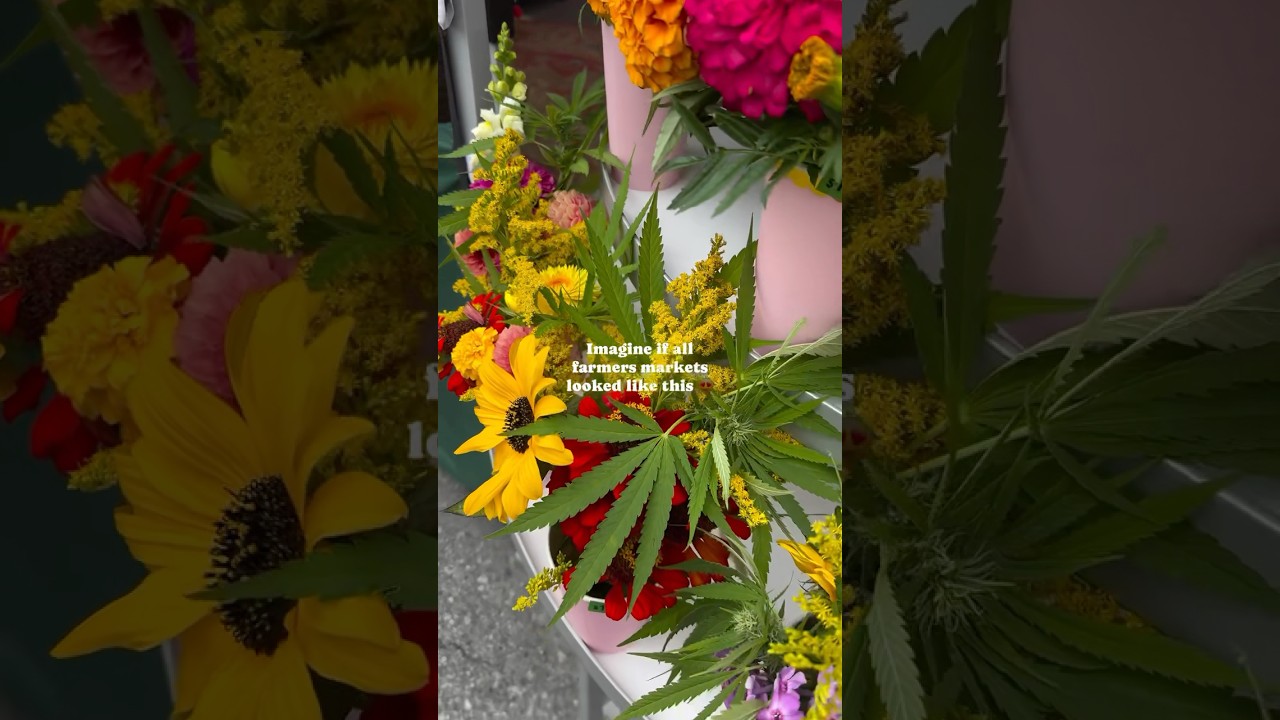 When I grow up I want to be a canna💐florist 🫶 #plantsmakepeoplehappy