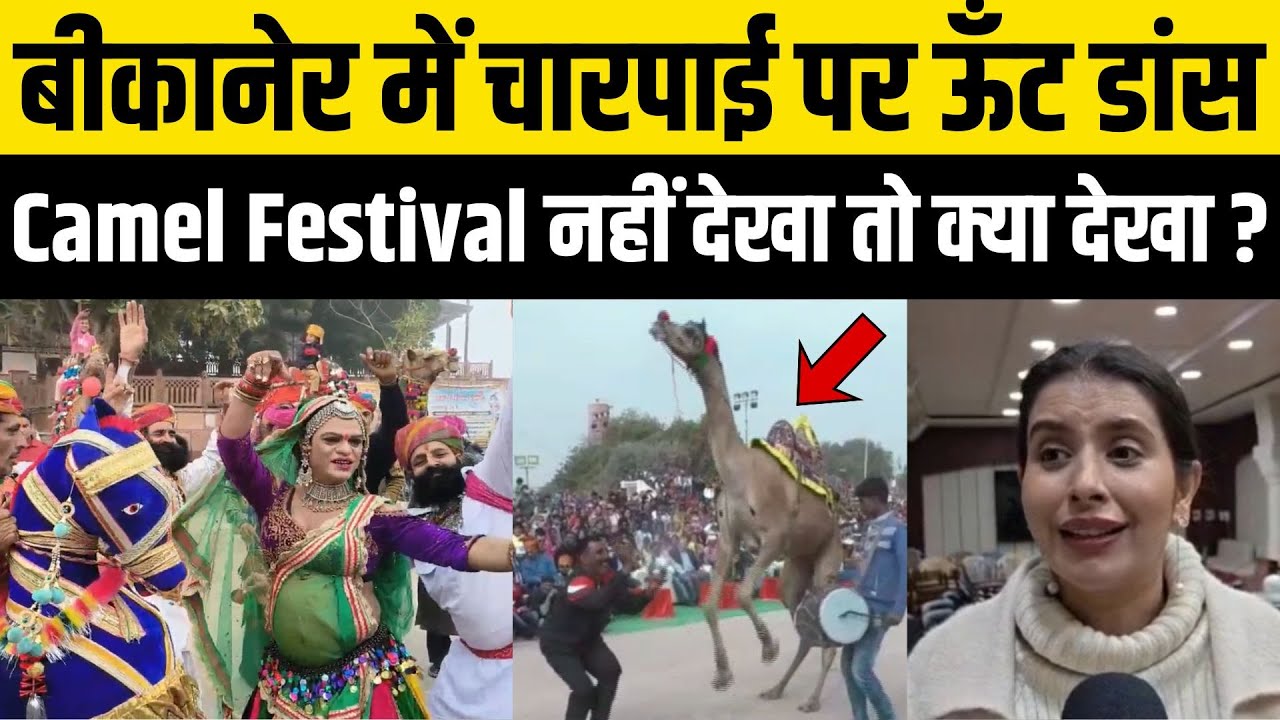 Rajasthan के Bikaner का ये Camel Festival 2026 नहीं देखा तो कुछ नहीं देखा, ऊँटों का ऐसा जोरदार डांस