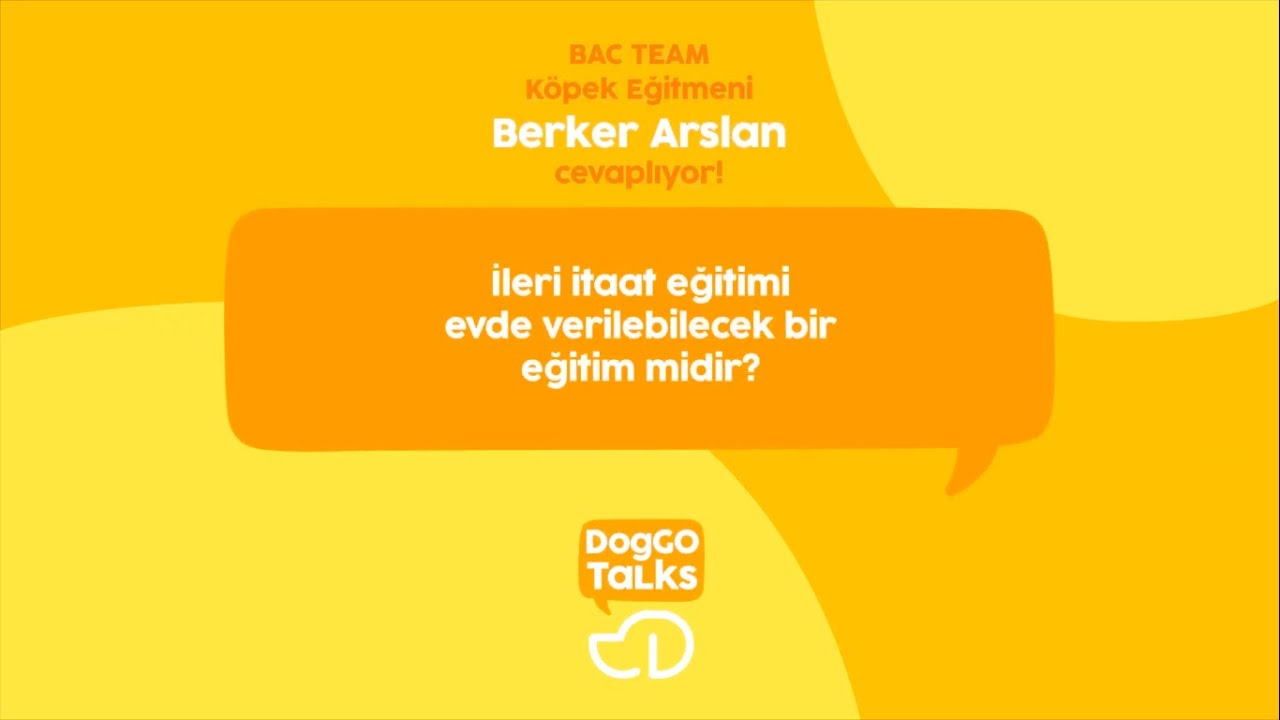 İleri İtaat Eğitimi Evde Verilebilecek Bir Eğitim Midir? | DogGOTalks | Berker Arslan - BAC Team