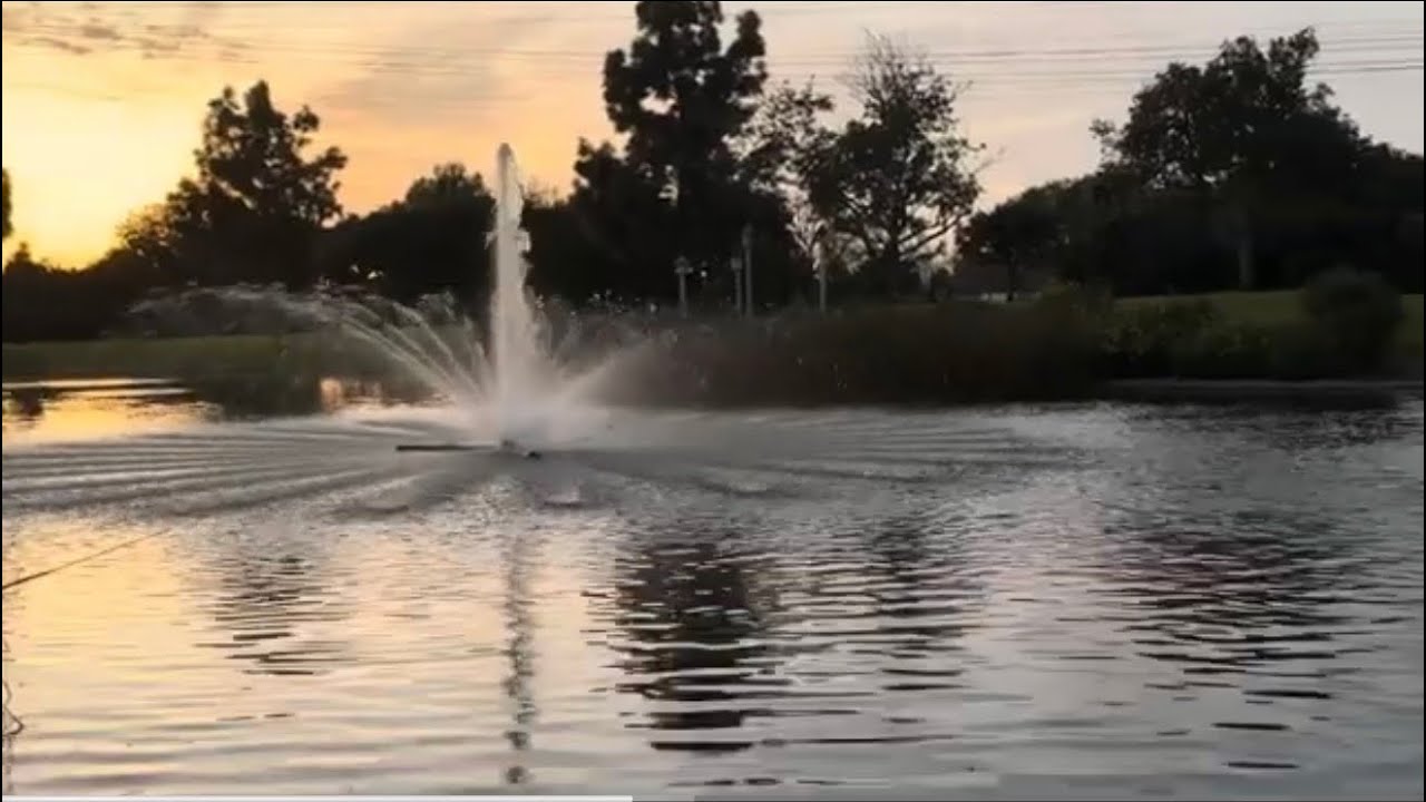 Wilderness Park in Downey CA w/ Teddy