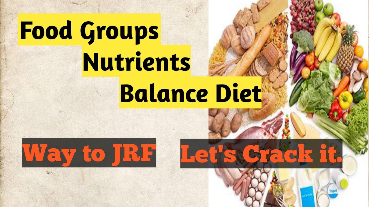 Главная Наука – Группы продуктов питания и питательные вещества NET JRF SFR Июнь 2020, Учебный ма...