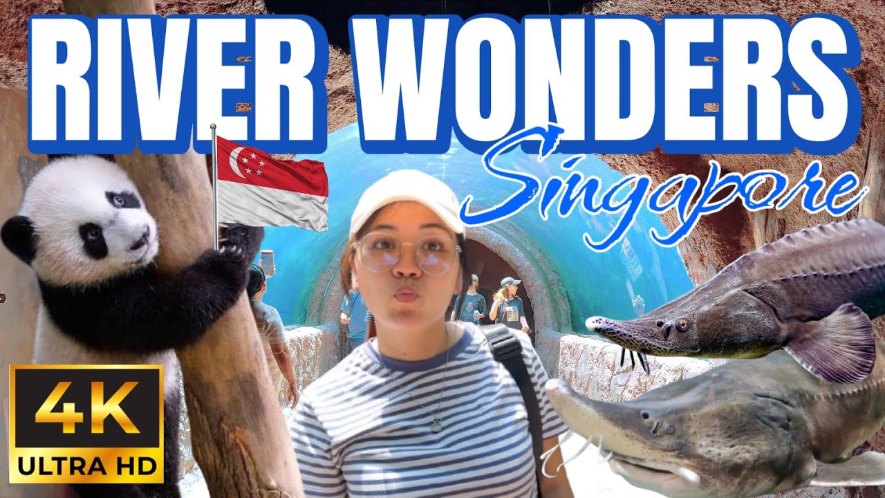 4K Video 🇸🇬 Mandai River Wonders Singapore Walking Tour #turkishandfilipinavlog #riverwonders 
