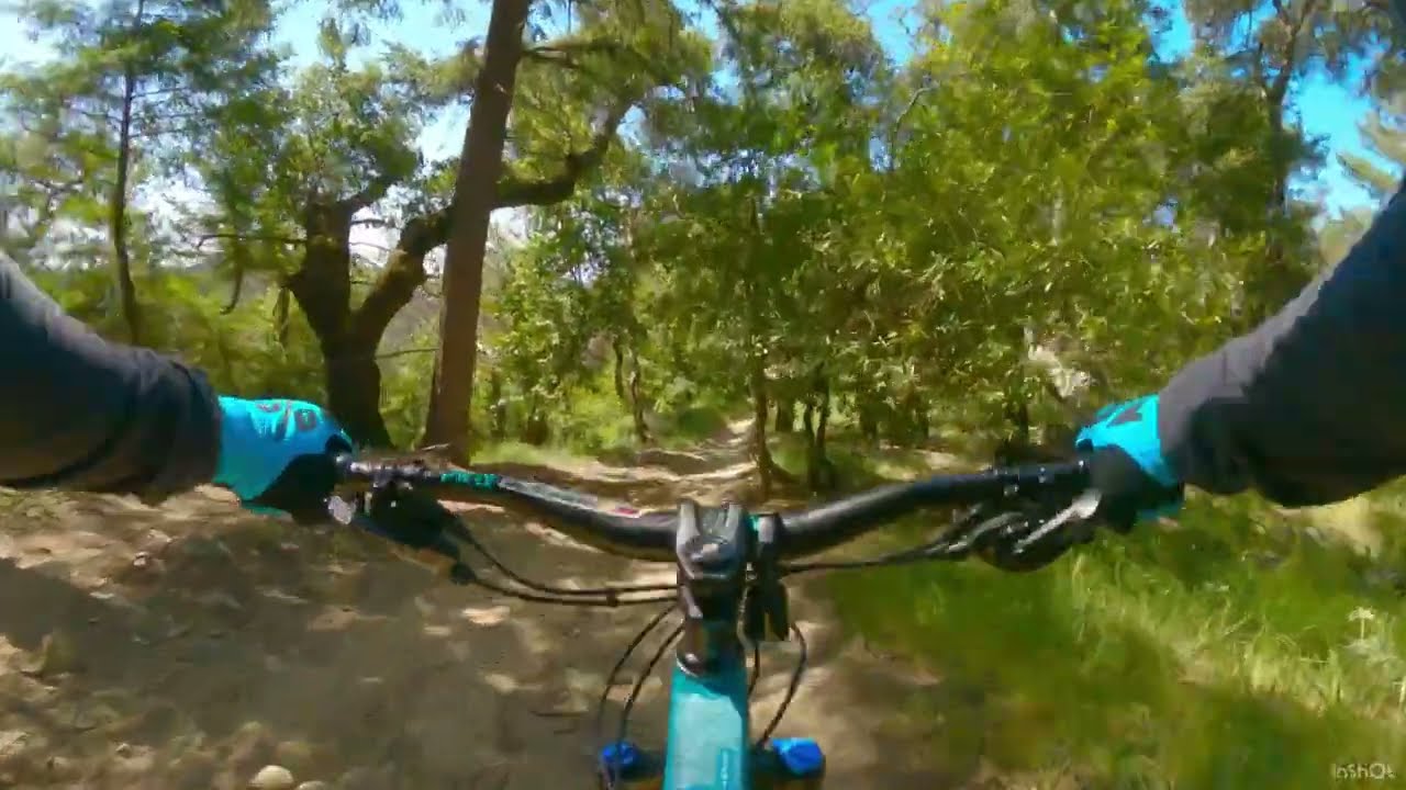 Ridge Trail | Santa Cruz Chameleon