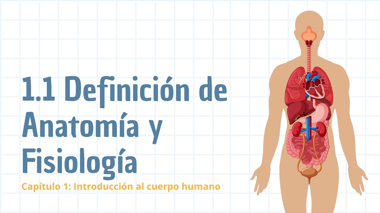 Definición de anatomía y fisiología