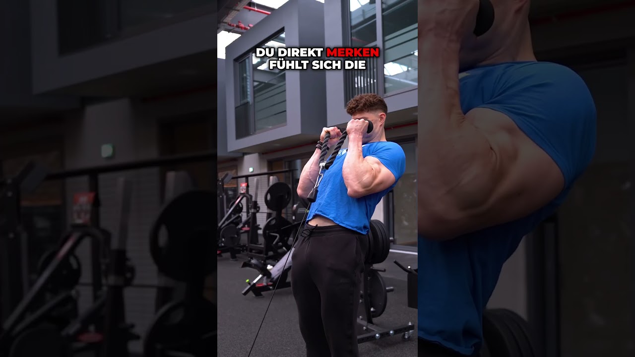 SYNTHOL-Bizeps durch Hammer Curls am Kabelzug! #muskelaufbau #armday #fitnesstips #gymtips #biceps