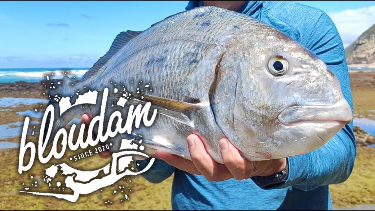 Fishing Tips & Tricks for Mussel Crackers